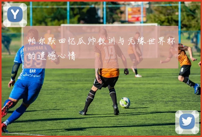 帕尔默回忆瓜帅教训与无缘世界杯的遗憾心情
