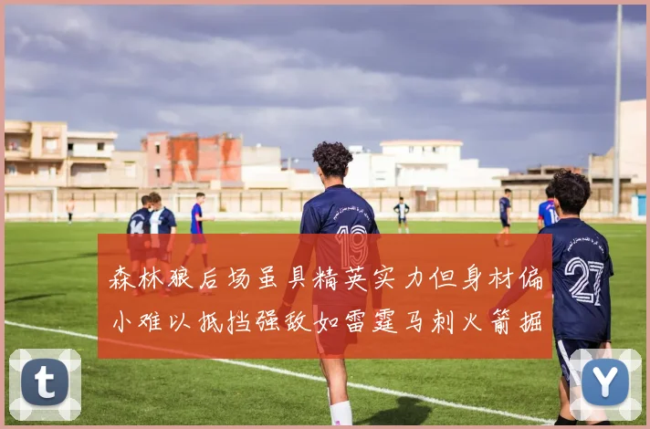 森林狼后场虽具精英实力但身材偏小难以抵挡强敌如雷霆马刺火箭掘金